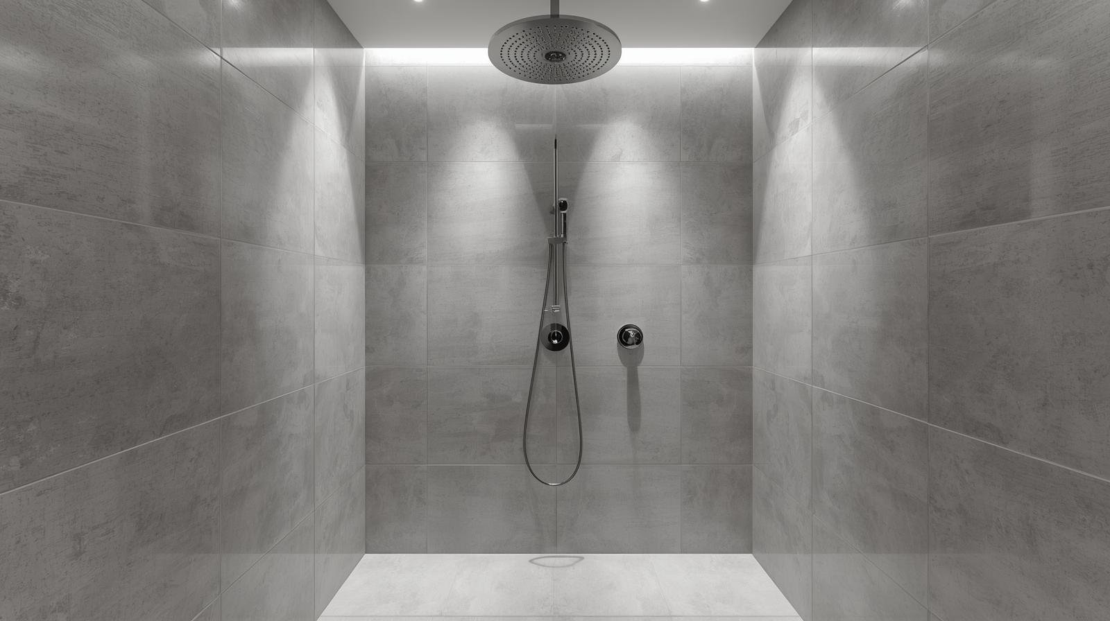 Minimalist shower controls